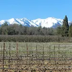 Lejlighed Argenta - Authenticite - Piscine - Climatisation - Vignes Trouillas